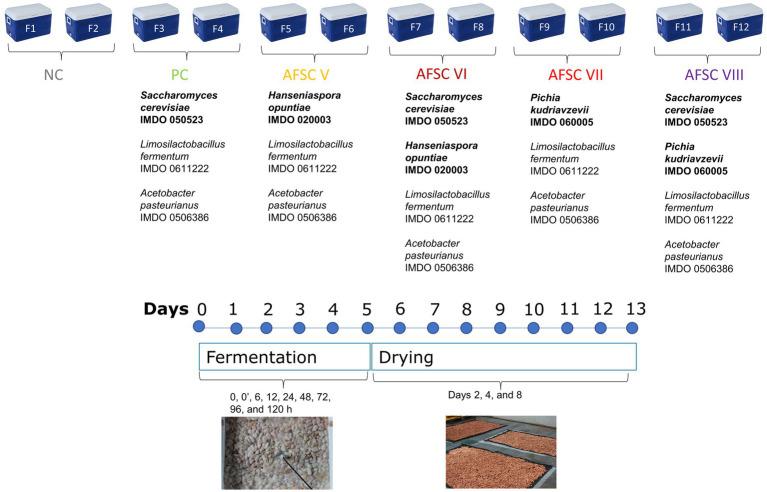 https://cdn.ncbi.nlm.nih.gov/pmc/blobs/7e17/10445768/9b4f7bb01dbd/fmicb-14-1232323-g001.jpg