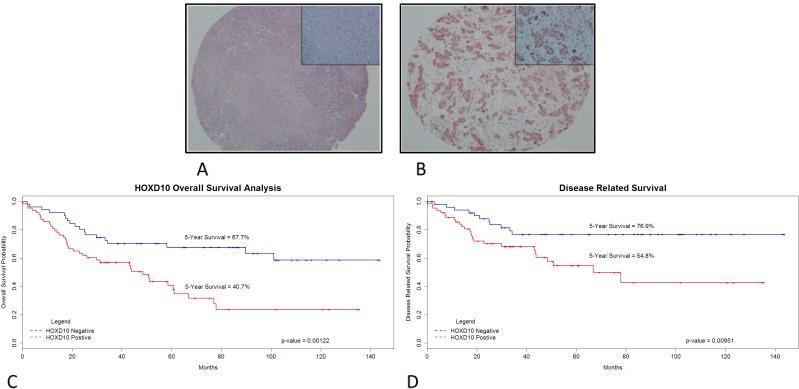 https://cdn.ncbi.nlm.nih.gov/pmc/blobs/7e18/4226723/4d5efb557d26/oncotarget-05-8803-g005.jpg
