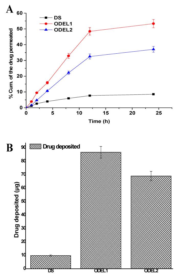 https://cdn.ncbi.nlm.nih.gov/pmc/blobs/7e1b/8309062/d5cd70cd4b1c/pharmaceutics-13-01047-g006.jpg