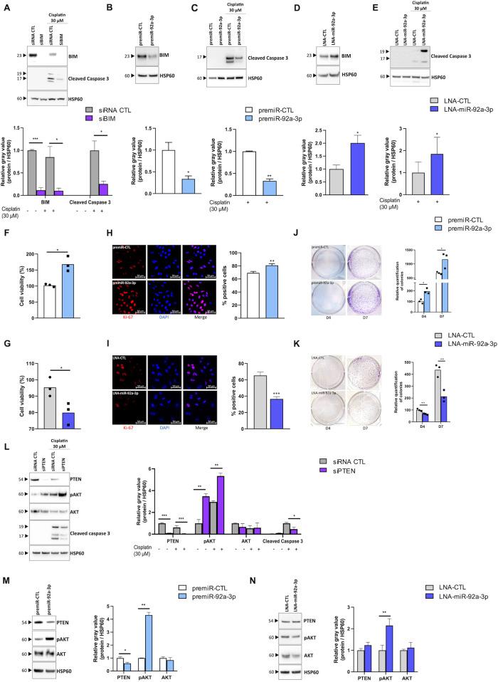 https://cdn.ncbi.nlm.nih.gov/pmc/blobs/7e1c/10499794/4665bda3cca2/41419_2023_6125_Fig2_HTML.jpg