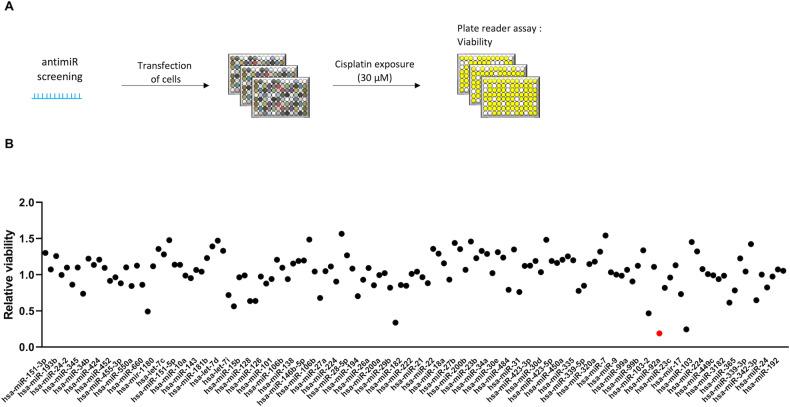 https://cdn.ncbi.nlm.nih.gov/pmc/blobs/7e1c/10499794/d6ea7849a95a/41419_2023_6125_Fig1_HTML.jpg