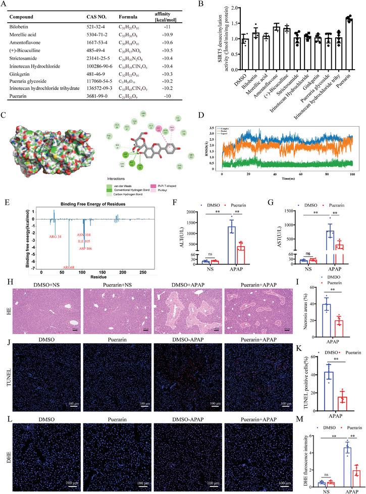 https://cdn.ncbi.nlm.nih.gov/pmc/blobs/7e1c/11497042/a9b2486130bf/ADVS-11-2402710-g005.jpg