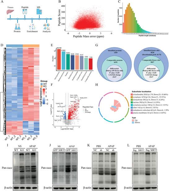 https://cdn.ncbi.nlm.nih.gov/pmc/blobs/7e1c/11497042/b885166a05c9/ADVS-11-2402710-g003.jpg