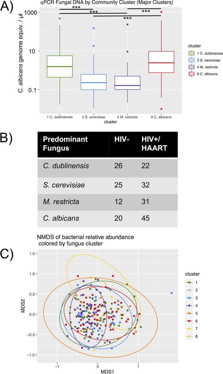 https://cdn.ncbi.nlm.nih.gov/pmc/blobs/7e1c/8092233/45b833d37e3b/mBio.00294-21_f004.jpg
