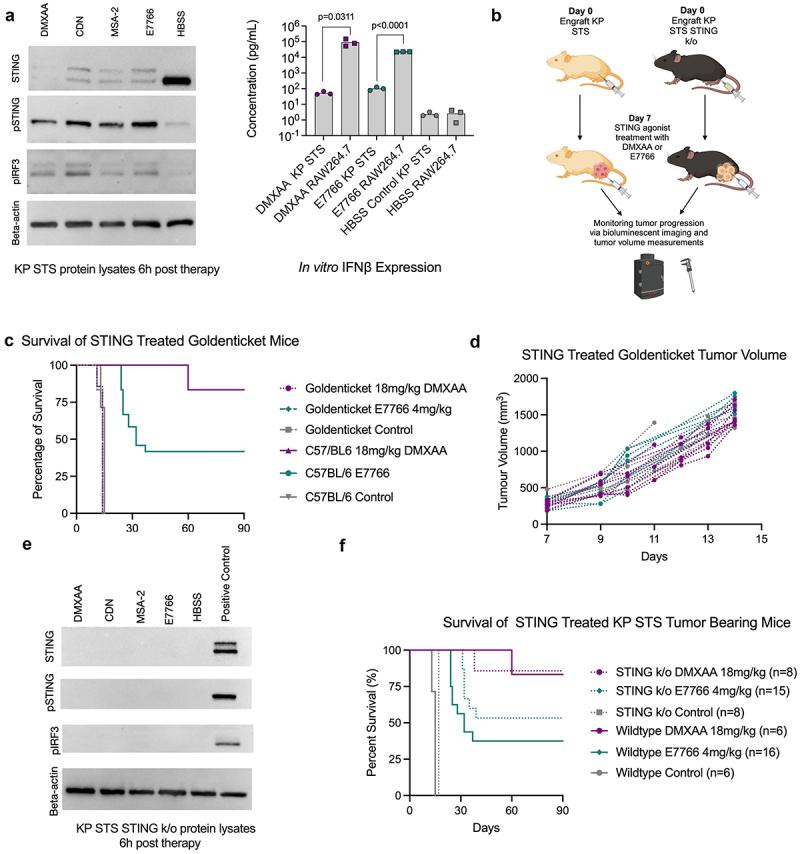 https://cdn.ncbi.nlm.nih.gov/pmc/blobs/7e1e/12296111/7f9a0094cc59/KONI_A_2534912_F0006_OC.jpg