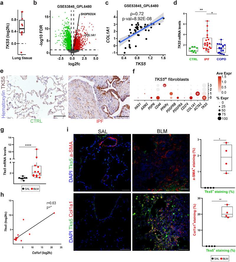 https://cdn.ncbi.nlm.nih.gov/pmc/blobs/7e21/10514346/1967c5053227/41467_2023_41614_Fig1_HTML.jpg