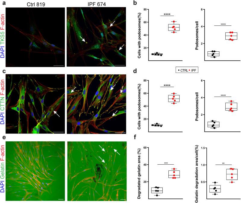 https://cdn.ncbi.nlm.nih.gov/pmc/blobs/7e21/10514346/891ec30f9cae/41467_2023_41614_Fig3_HTML.jpg