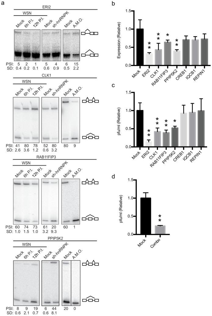 https://cdn.ncbi.nlm.nih.gov/pmc/blobs/7e25/7735754/e242f8301477/elife-55500-fig4.jpg