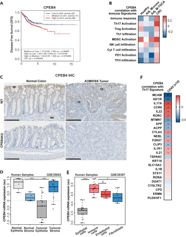 https://cdn.ncbi.nlm.nih.gov/pmc/blobs/7e26/8859527/0f57f7f0f302/gr6.jpg