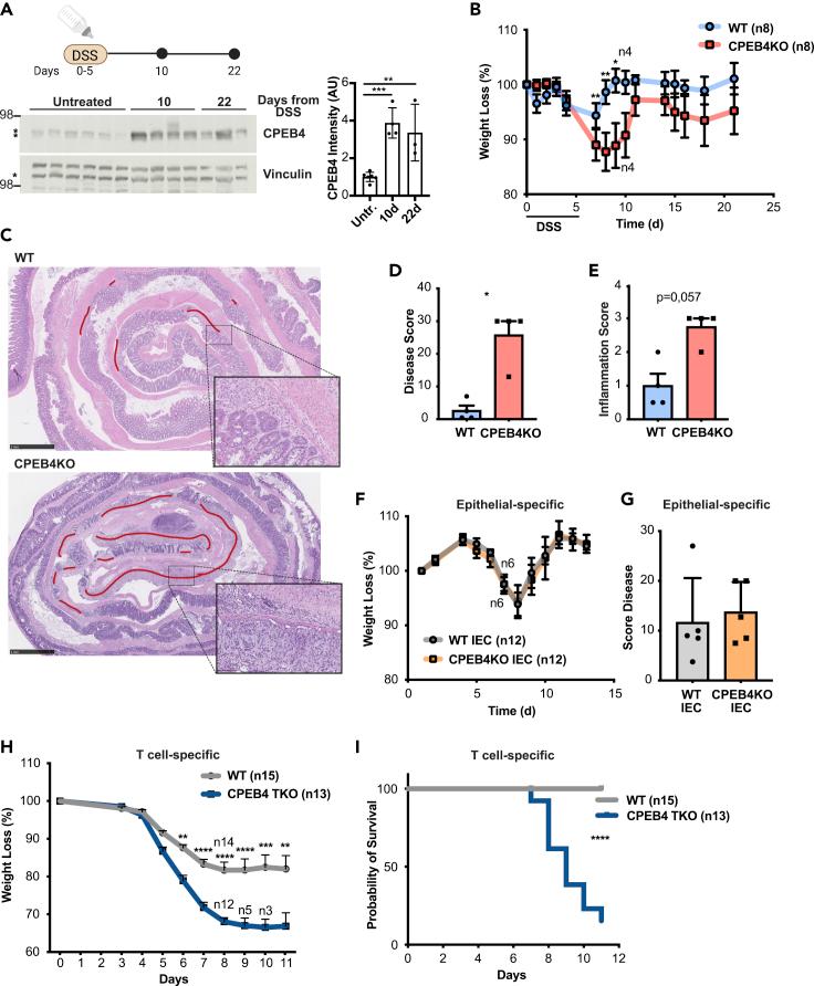 https://cdn.ncbi.nlm.nih.gov/pmc/blobs/7e26/8859527/4dcf66d4deff/gr2.jpg