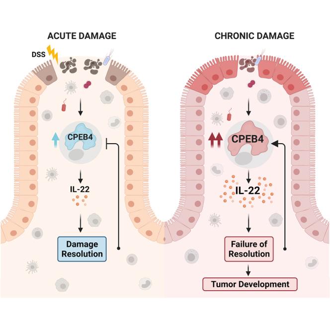 https://cdn.ncbi.nlm.nih.gov/pmc/blobs/7e26/8859527/e28ca7f6783e/fx1.jpg