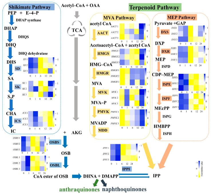 https://cdn.ncbi.nlm.nih.gov/pmc/blobs/7e26/8954821/89de30f635c5/genes-13-00521-g003.jpg