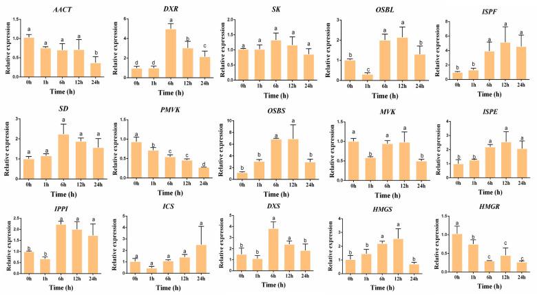 https://cdn.ncbi.nlm.nih.gov/pmc/blobs/7e26/8954821/e8be9fdd9eb2/genes-13-00521-g004.jpg