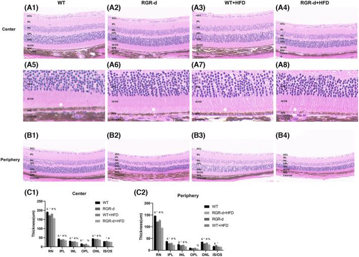 https://cdn.ncbi.nlm.nih.gov/pmc/blobs/7e27/11580724/366c5e65375b/FSB2-38-e70135-g007.jpg