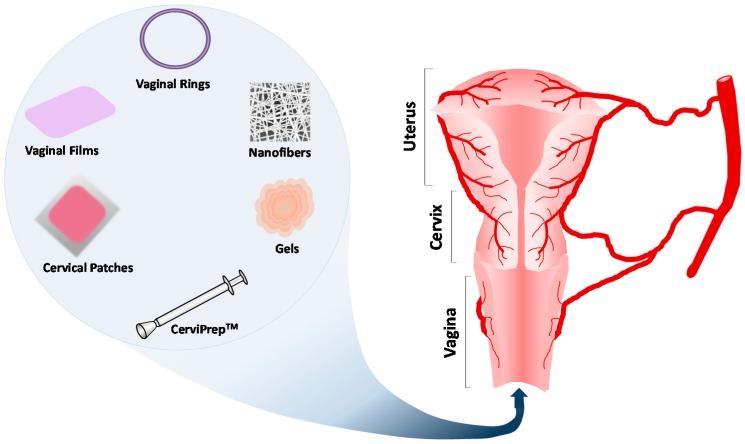 https://cdn.ncbi.nlm.nih.gov/pmc/blobs/7e27/5039442/56d68d8ab3a8/pharmaceutics-08-00023-g003.jpg