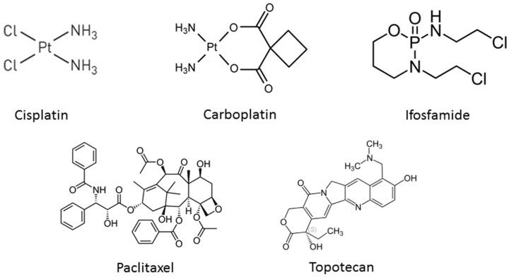 https://cdn.ncbi.nlm.nih.gov/pmc/blobs/7e27/5039442/fc37a7d58902/pharmaceutics-08-00023-g001.jpg
