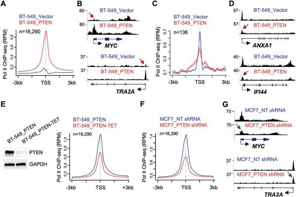 https://cdn.ncbi.nlm.nih.gov/pmc/blobs/7e27/6735678/78891e54ee40/ddz112f2.jpg