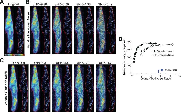 https://cdn.ncbi.nlm.nih.gov/pmc/blobs/7e28/5703646/37fa4250f7ec/elife-30425-fig8.jpg