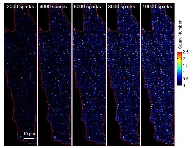 https://cdn.ncbi.nlm.nih.gov/pmc/blobs/7e28/5703646/eb4b1054248f/elife-30425-resp-fig1.jpg