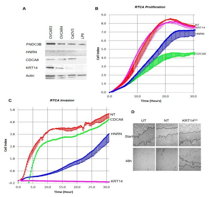 https://cdn.ncbi.nlm.nih.gov/pmc/blobs/7e28/6769856/106a22b67cc3/cancers-11-01228-g003.jpg