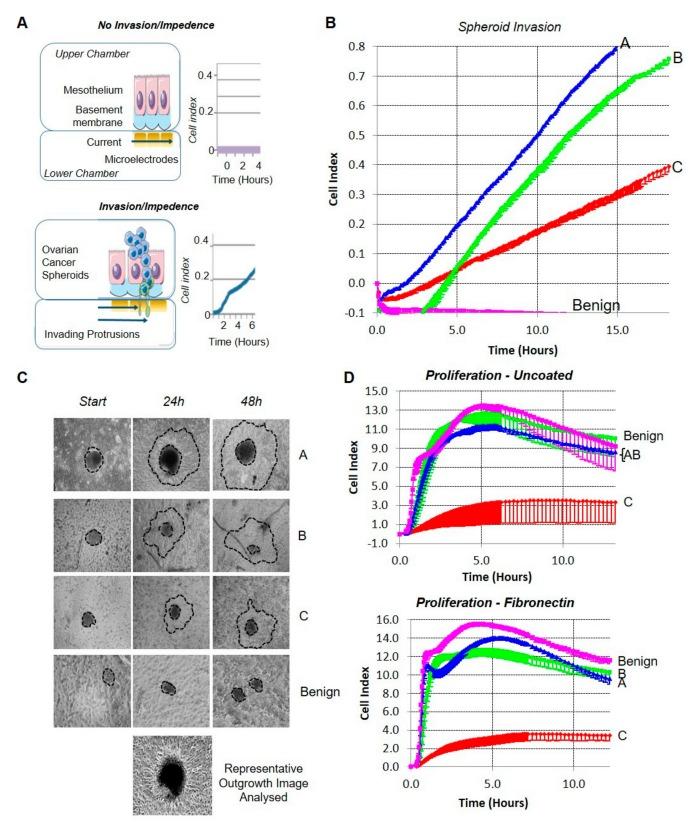 https://cdn.ncbi.nlm.nih.gov/pmc/blobs/7e28/6769856/4ca1faa631ab/cancers-11-01228-g001.jpg