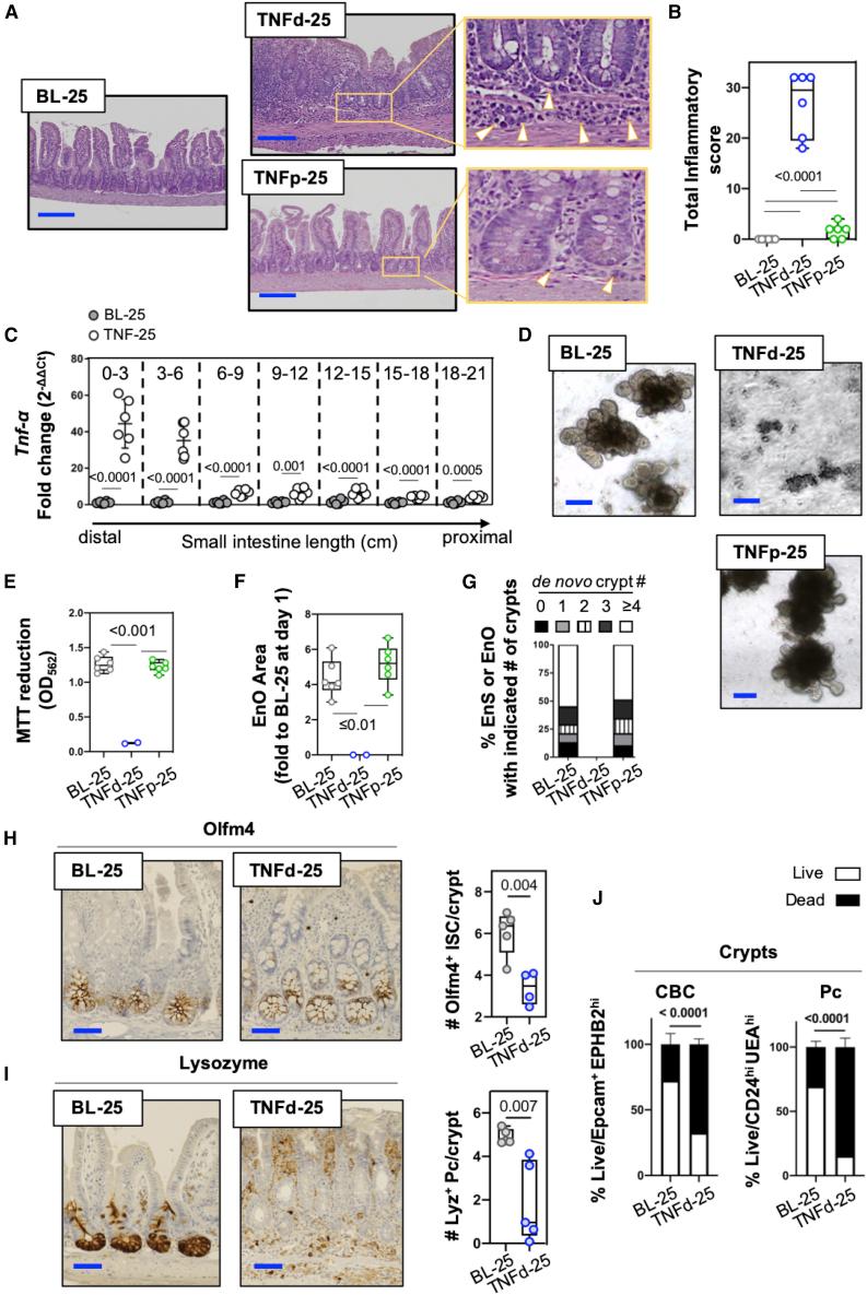 https://cdn.ncbi.nlm.nih.gov/pmc/blobs/7e28/7419719/1d8ed0f226c5/gr7.jpg