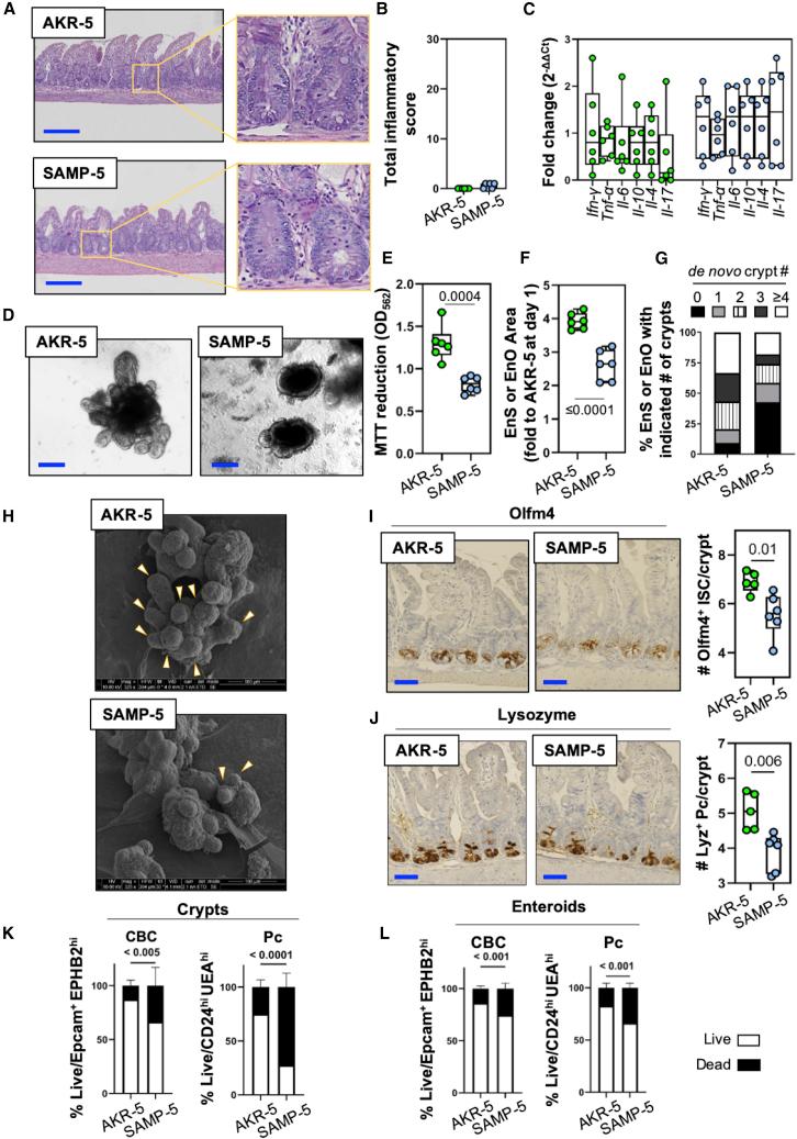 https://cdn.ncbi.nlm.nih.gov/pmc/blobs/7e28/7419719/59bfab042a68/gr1.jpg