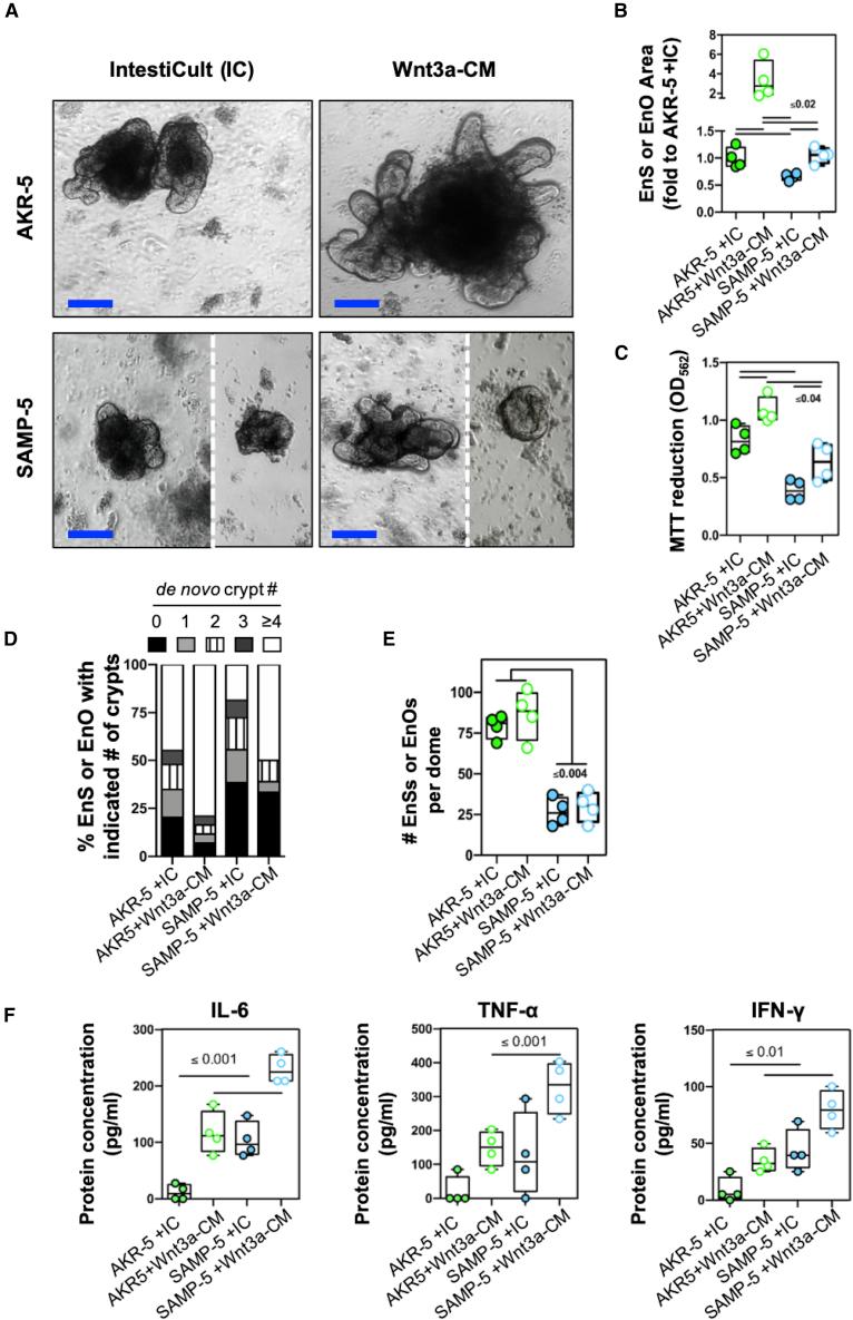 https://cdn.ncbi.nlm.nih.gov/pmc/blobs/7e28/7419719/70e7f7022a50/gr4.jpg
