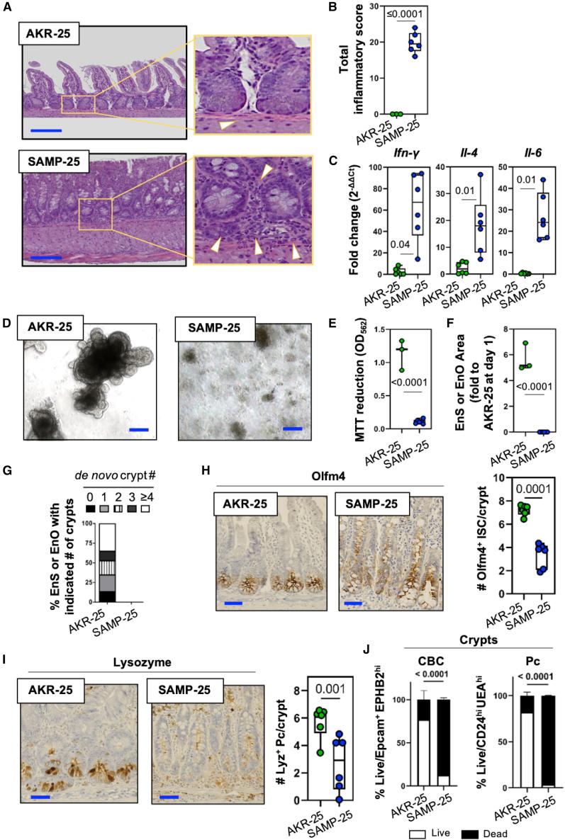 https://cdn.ncbi.nlm.nih.gov/pmc/blobs/7e28/7419719/be457fcbd41a/gr2.jpg