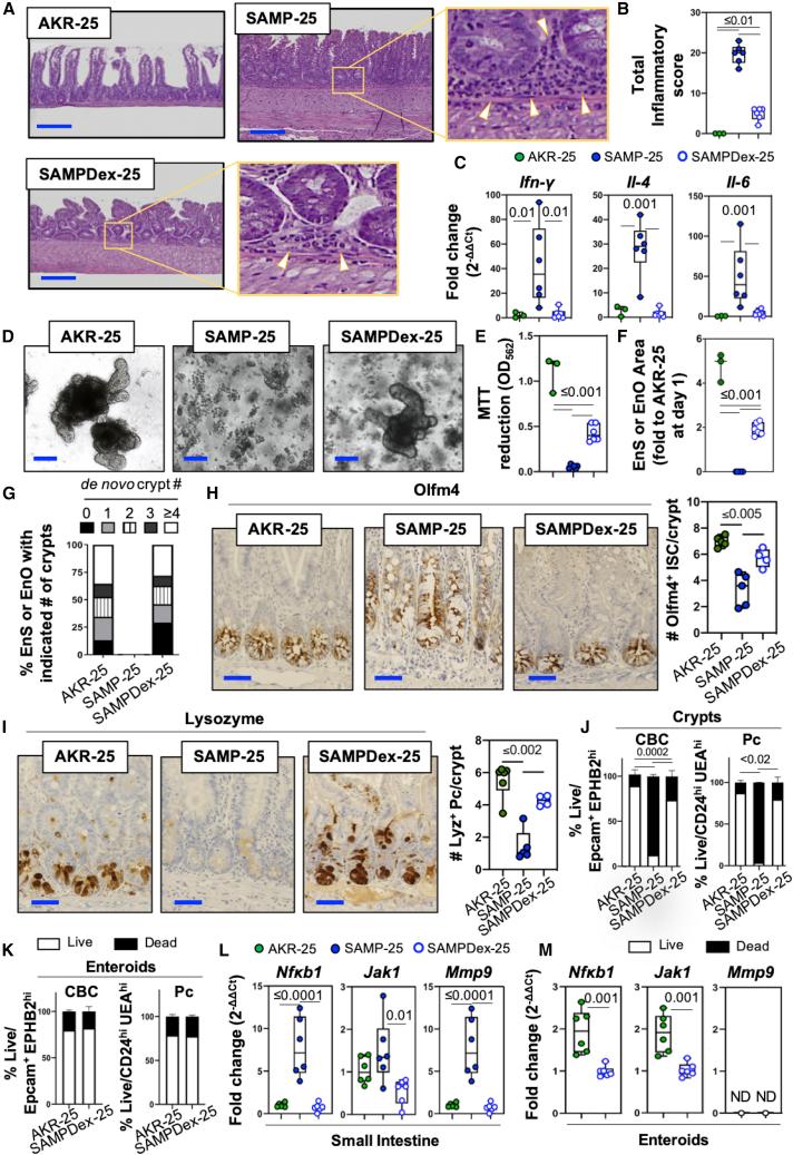 https://cdn.ncbi.nlm.nih.gov/pmc/blobs/7e28/7419719/dd3c26457761/gr5.jpg