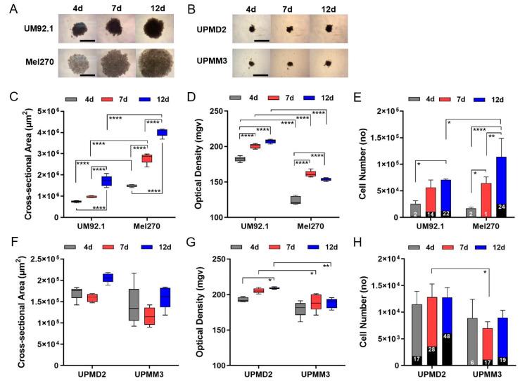 https://cdn.ncbi.nlm.nih.gov/pmc/blobs/7e28/8234387/89e23e03c231/cancers-13-03086-g001.jpg