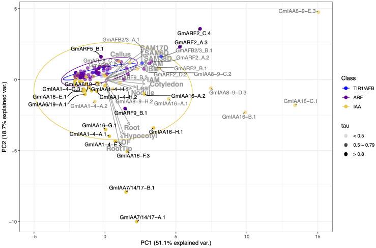 https://cdn.ncbi.nlm.nih.gov/pmc/blobs/7e29/11484095/2a3f85c921b4/fpls-15-1463438-g004.jpg