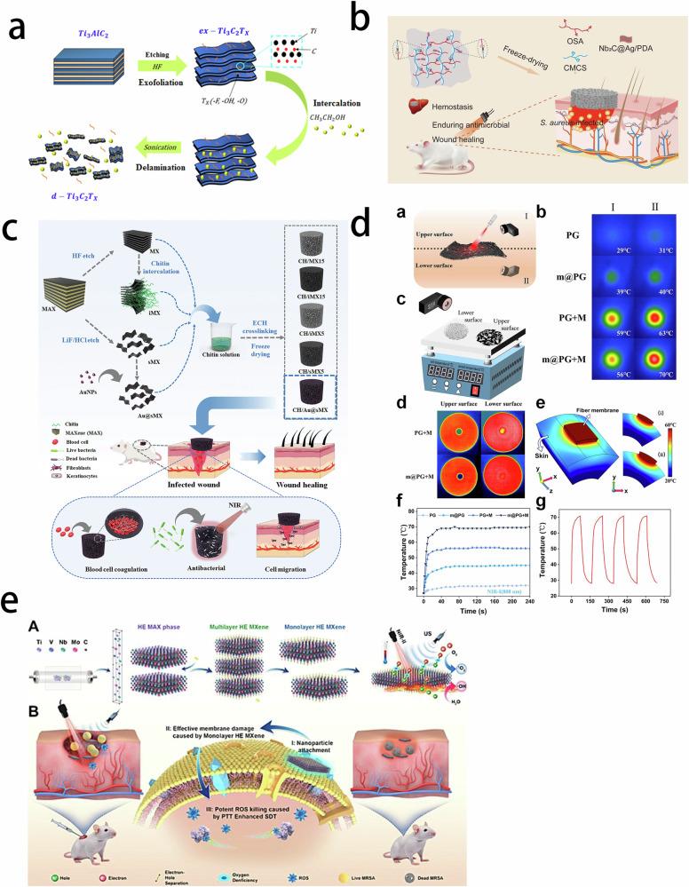 https://cdn.ncbi.nlm.nih.gov/pmc/blobs/7e2a/12081522/07e3c06f57fc/10856_2025_6895_Fig5_HTML.jpg
