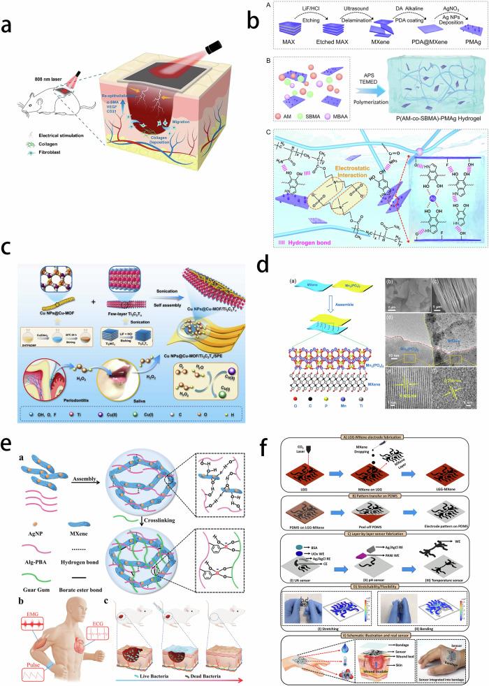 https://cdn.ncbi.nlm.nih.gov/pmc/blobs/7e2a/12081522/3f39b9a98570/10856_2025_6895_Fig13_HTML.jpg