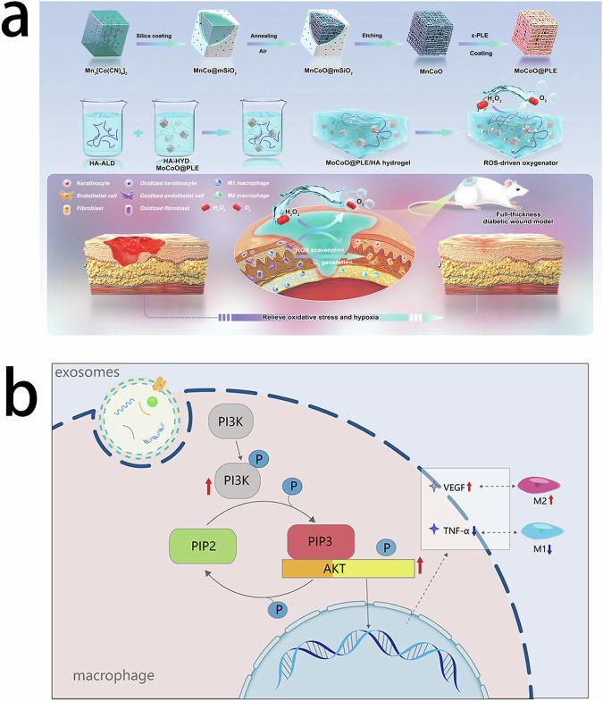https://cdn.ncbi.nlm.nih.gov/pmc/blobs/7e2a/12081522/61f3b2171210/10856_2025_6895_Fig7_HTML.jpg