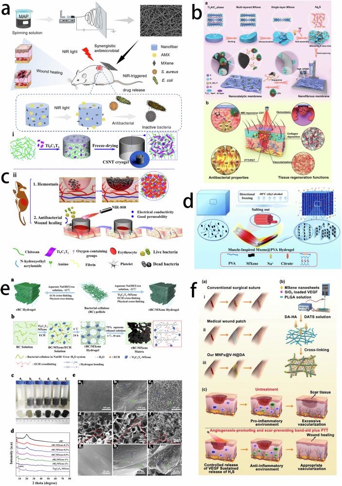 https://cdn.ncbi.nlm.nih.gov/pmc/blobs/7e2a/12081522/8191b2b9f52e/10856_2025_6895_Fig10_HTML.jpg