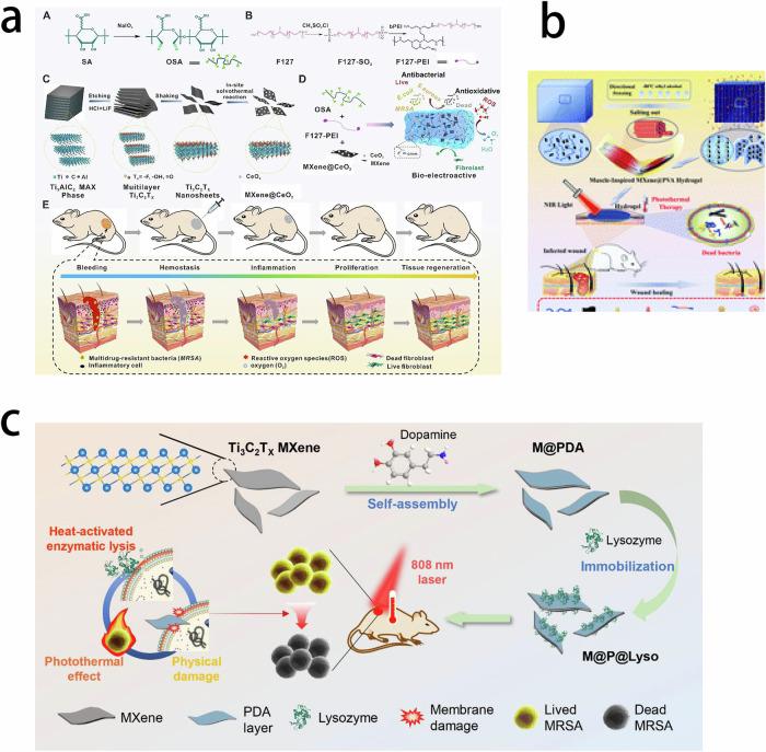 https://cdn.ncbi.nlm.nih.gov/pmc/blobs/7e2a/12081522/9e6401d7f989/10856_2025_6895_Fig12_HTML.jpg