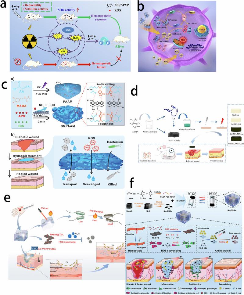 https://cdn.ncbi.nlm.nih.gov/pmc/blobs/7e2a/12081522/a7a79698643c/10856_2025_6895_Fig4_HTML.jpg
