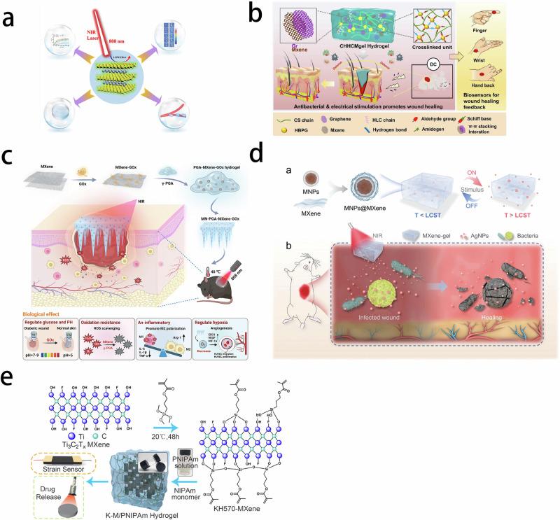https://cdn.ncbi.nlm.nih.gov/pmc/blobs/7e2a/12081522/f7513a3d5557/10856_2025_6895_Fig11_HTML.jpg