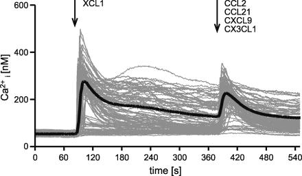 https://cdn.ncbi.nlm.nih.gov/pmc/blobs/7e2a/2882837/27eb761593e7/JEM_20100348_GS_Fig3.jpg