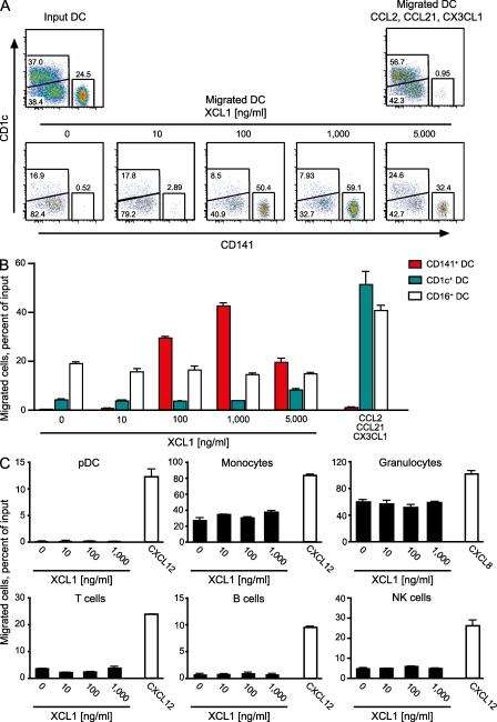 https://cdn.ncbi.nlm.nih.gov/pmc/blobs/7e2a/2882837/2e732babd679/JEM_20100348_RGB_Fig4.jpg