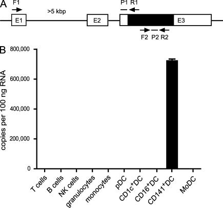 https://cdn.ncbi.nlm.nih.gov/pmc/blobs/7e2a/2882837/a98b2c57bfed/JEM_20100348_LW_Fig2.jpg