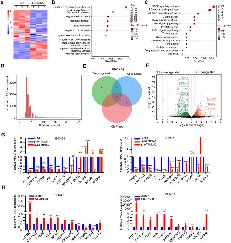 https://cdn.ncbi.nlm.nih.gov/pmc/blobs/7e2b/10847093/008772641e60/41419_2024_6496_Fig4_HTML.jpg