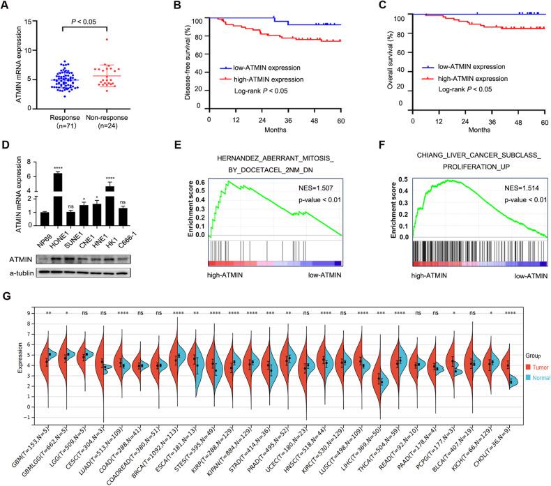 https://cdn.ncbi.nlm.nih.gov/pmc/blobs/7e2b/10847093/864a862f2bfc/41419_2024_6496_Fig1_HTML.jpg