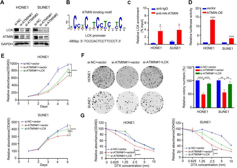 https://cdn.ncbi.nlm.nih.gov/pmc/blobs/7e2b/10847093/92d1497a1851/41419_2024_6496_Fig5_HTML.jpg