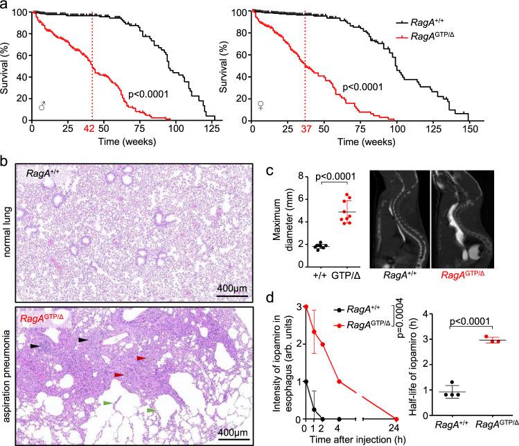 https://cdn.ncbi.nlm.nih.gov/pmc/blobs/7e2b/8209044/0c69343b33a9/41467_2021_23857_Fig2_HTML.jpg
