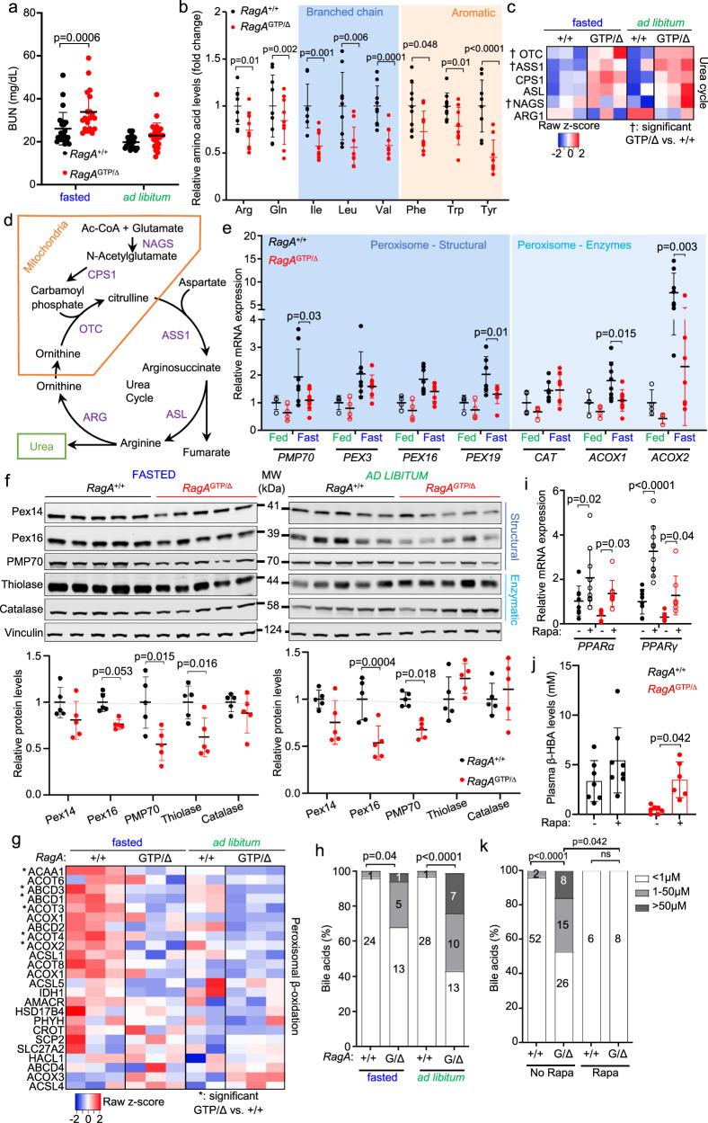 https://cdn.ncbi.nlm.nih.gov/pmc/blobs/7e2b/8209044/4fae8f993219/41467_2021_23857_Fig6_HTML.jpg