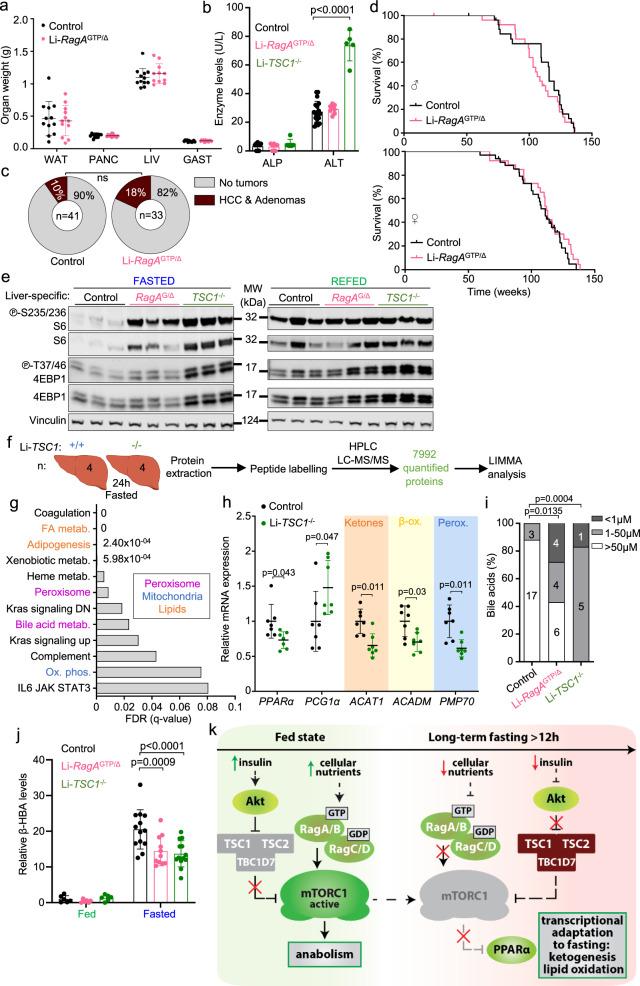 https://cdn.ncbi.nlm.nih.gov/pmc/blobs/7e2b/8209044/661c2175c2bc/41467_2021_23857_Fig8_HTML.jpg