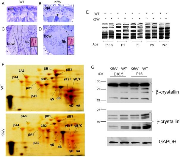 https://cdn.ncbi.nlm.nih.gov/pmc/blobs/7e2f/2958118/74af8184e170/pone.0013331.g003.jpg