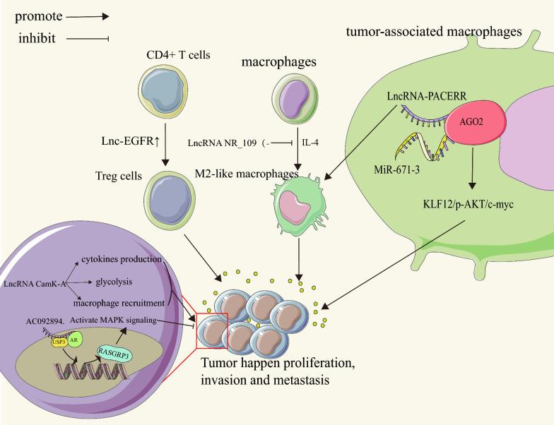 https://cdn.ncbi.nlm.nih.gov/pmc/blobs/7e31/10770979/c360b2f2e529/12935_2023_3194_Fig4_HTML.jpg